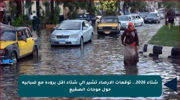 شتاء 2026.. توقعات الأرصاد تشير إلى شتاء أقل برودة مع ضبابية حول موجات الصقيع